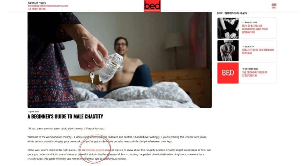 Example of a Bed Domination blog